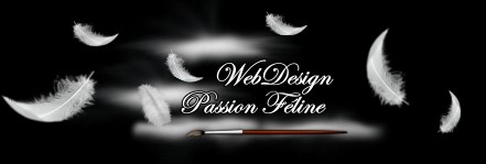 Besoin d'un site web unique? Contactez moi!